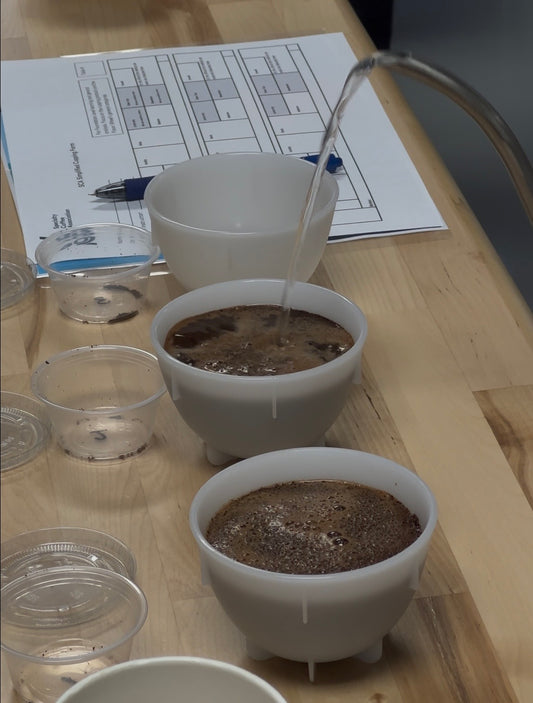 Pouring hot water during a guided coffee cupping at the Katï Coffee roastery.