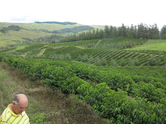 PAPUA NEW GUINEA Highlands