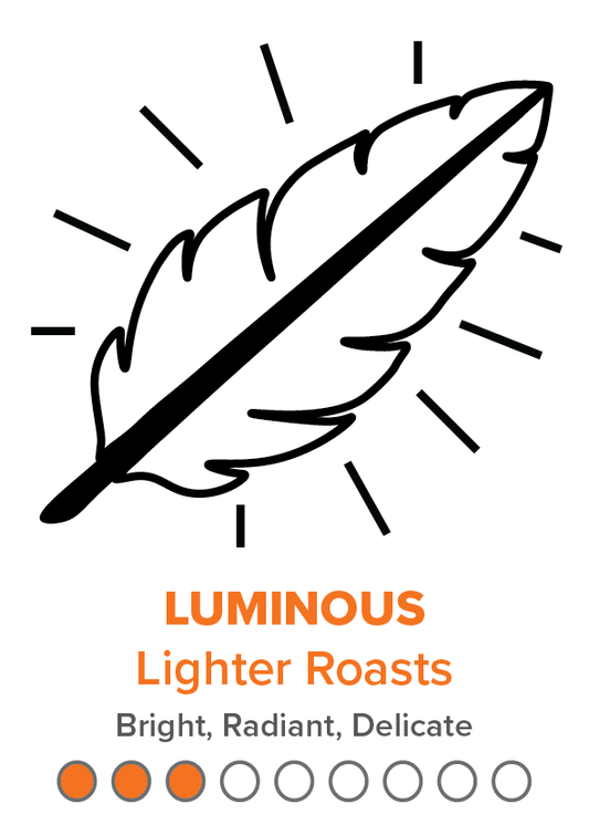 LUMINOUS Lighter Roasts