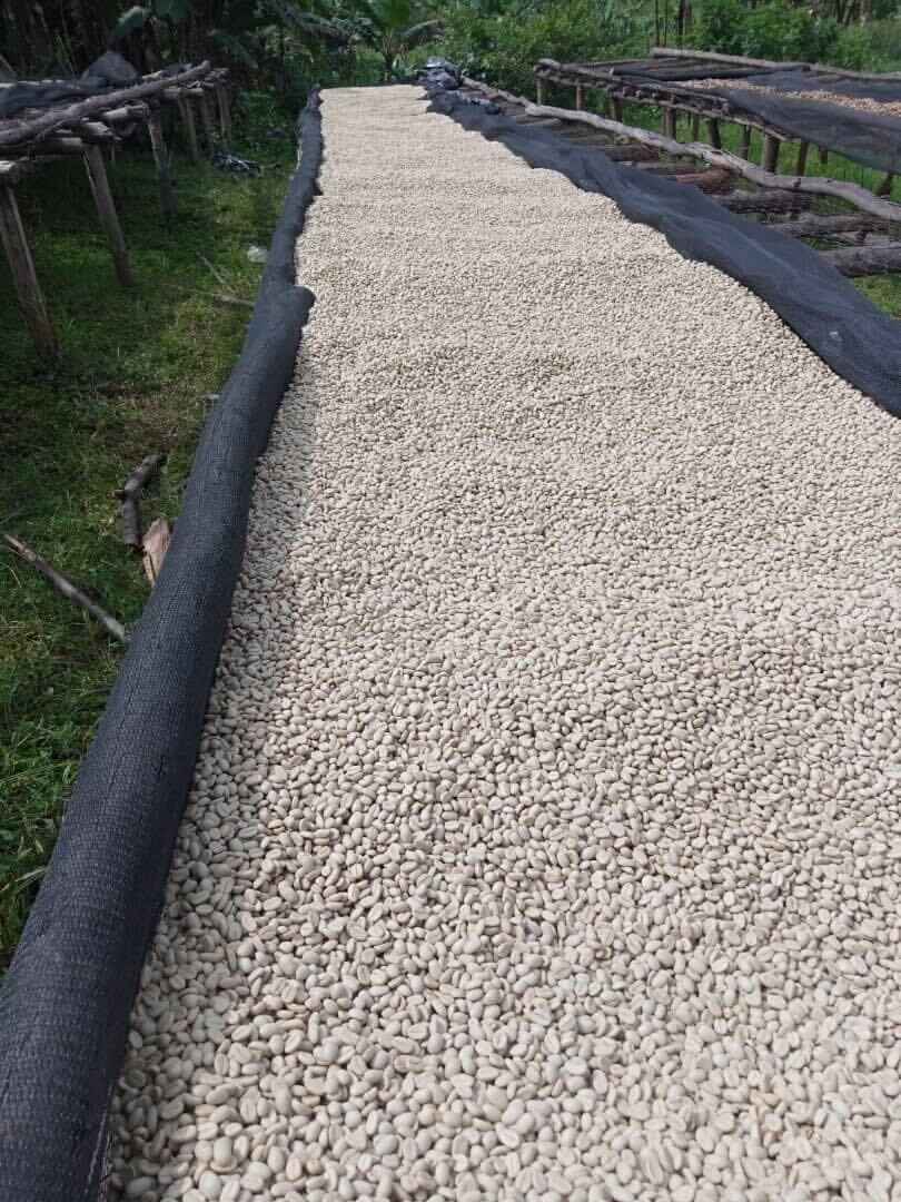 RWANDA Gicumbi