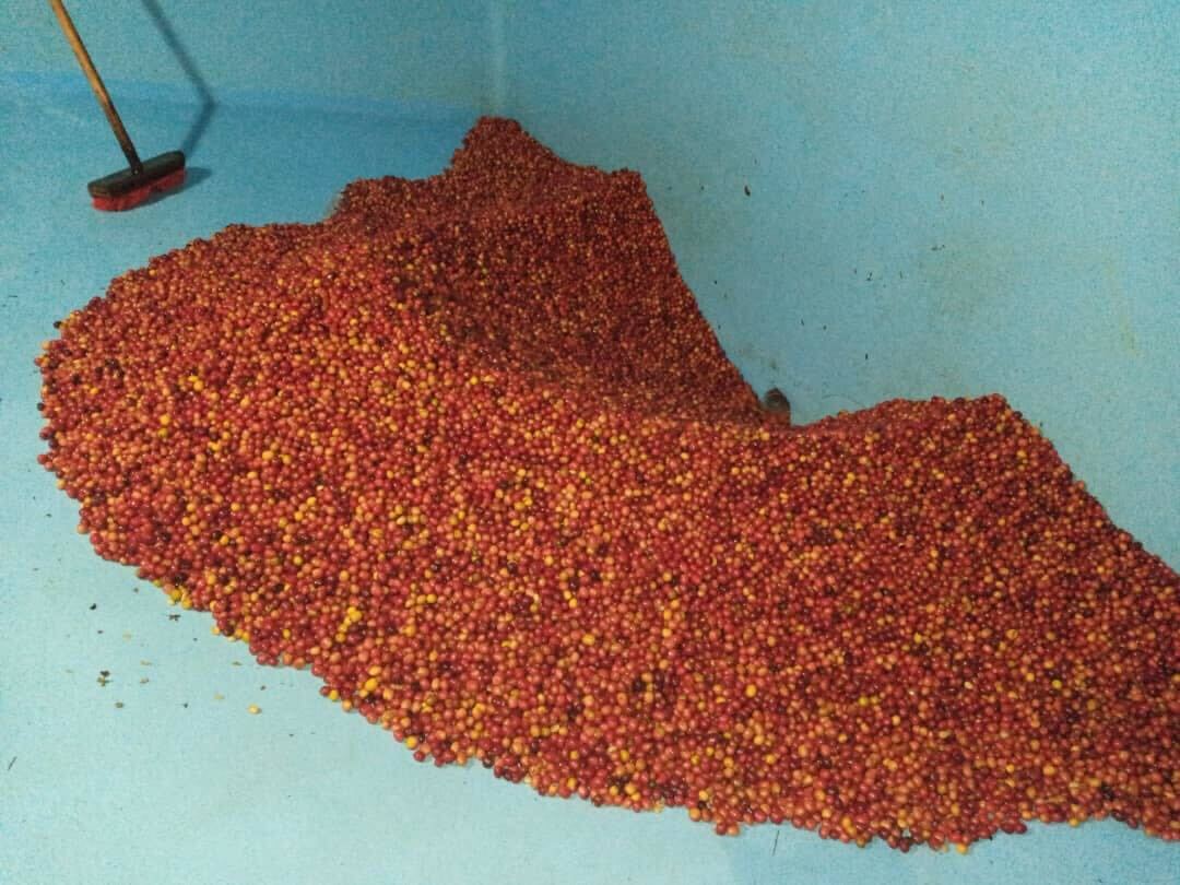 RWANDA Gicumbi