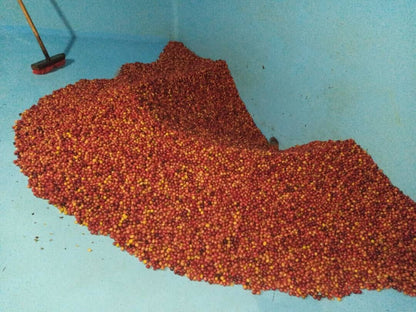 RWANDA Gicumbi