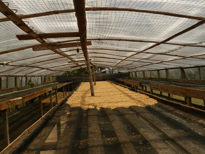 COLOMBIA Sugarcane Decaf