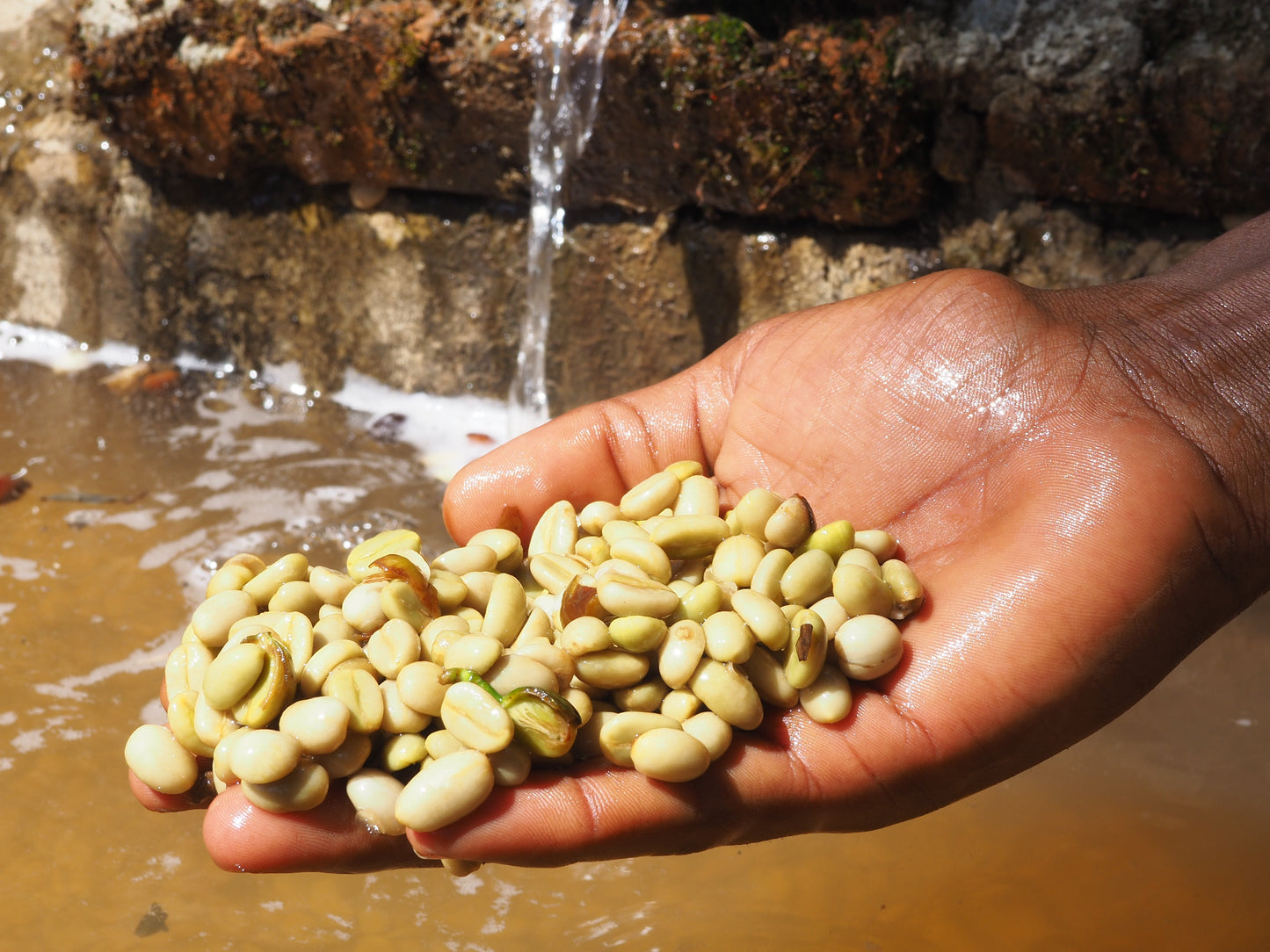 ETHIOPIA Guji