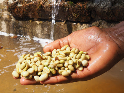 ETHIOPIA Guji
