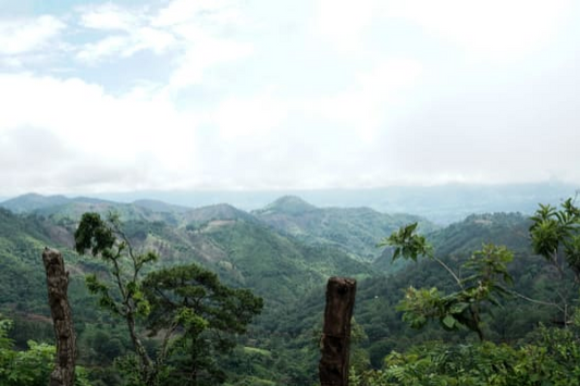 EL SALVADOR Ahuachapan