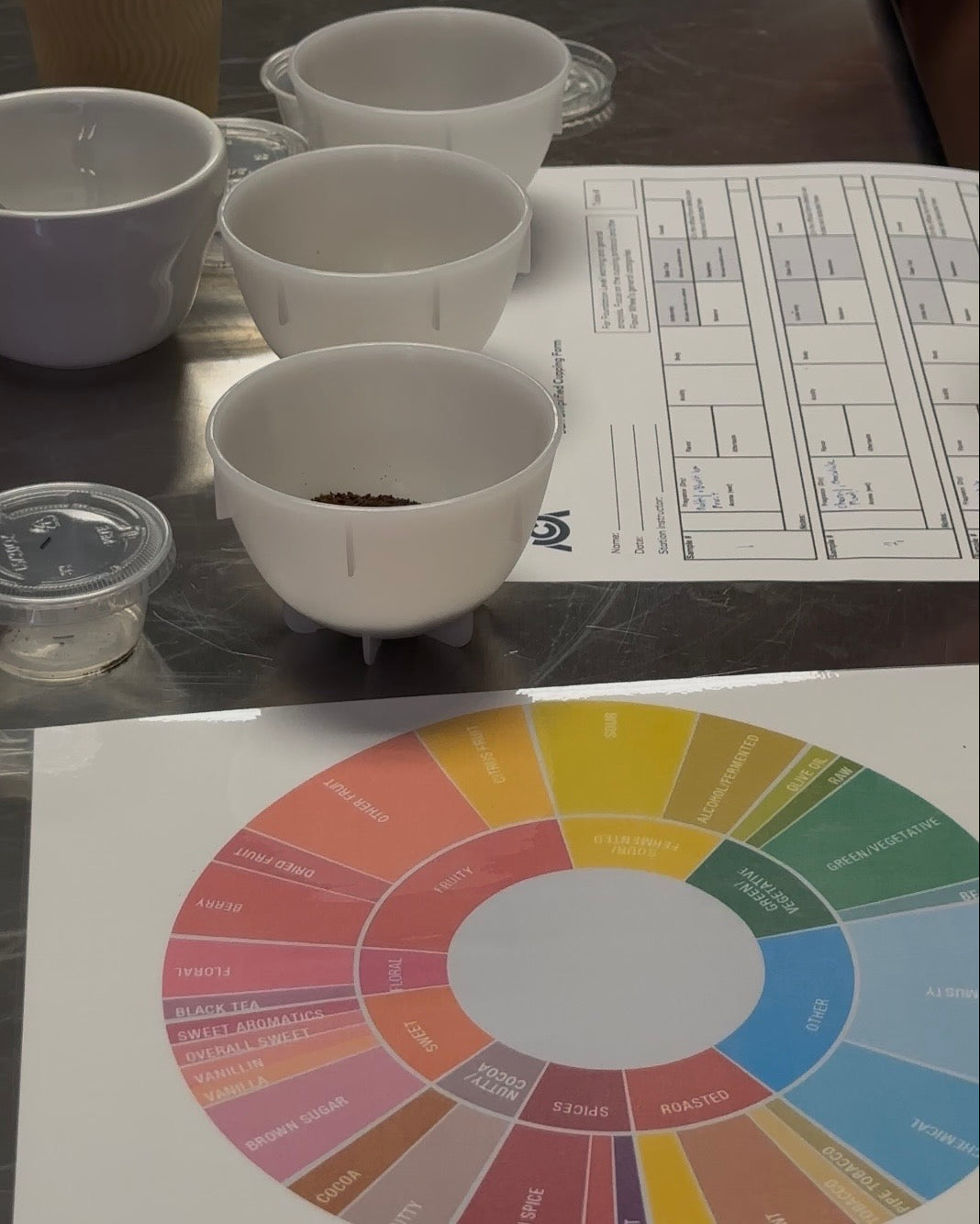 Coffee flavor wheel and cupping bowls used during a small-group tasting at the Katï Coffee roastery.