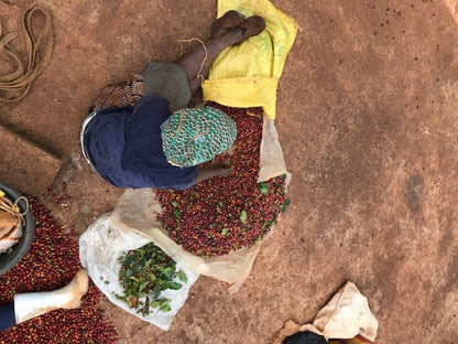 KENYA Ruiru