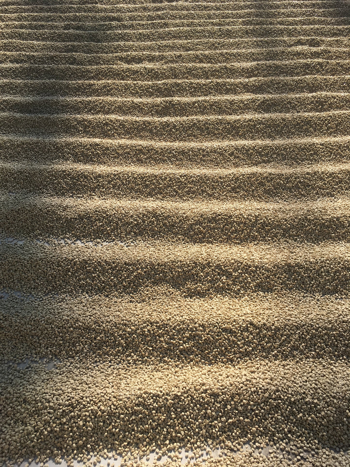 GUATEMALA Eastern Highlands