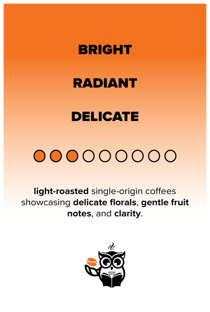 LUMINOUS Lighter Roasts