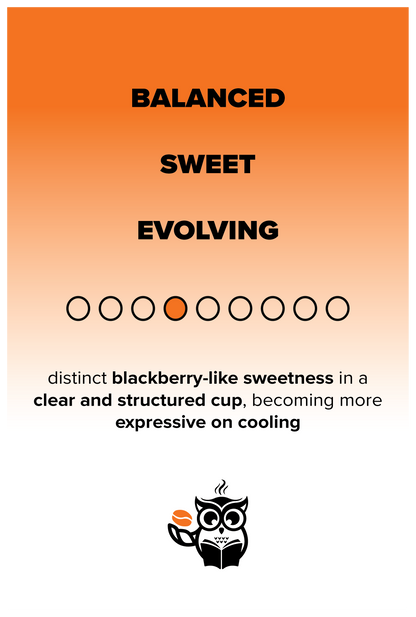 TANZANIA Peaberry