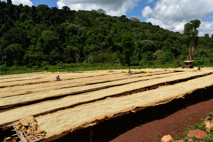 ETHIOPIA Guji